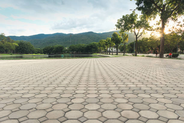 Best Decorative Driveway Pavers  in Assumption, IL