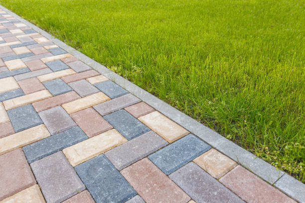 Best Local Driveway Pavers  in Assumption, IL